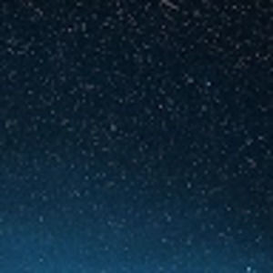 Meet your Posher, Bella